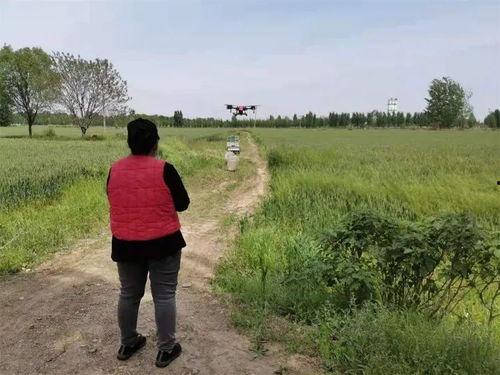 徐州新农人爆料视频,揭秘农村发展新动向 第3张 徐州新农人爆料视频,揭秘农村发展新动向 第3张